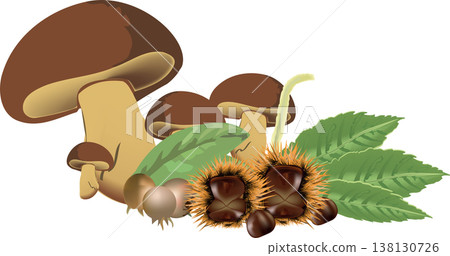 harvest of undergrowth chestnuts and medlar mushrooms mushroom harvest of undergrowth chestnuts and medlar mushrooms mushroom 138130726