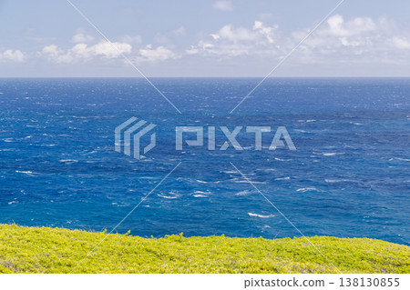 Sunny Hawaiian landscape with ocean and hills Sunny Hawaiian landscape with ocean and hills 138130855