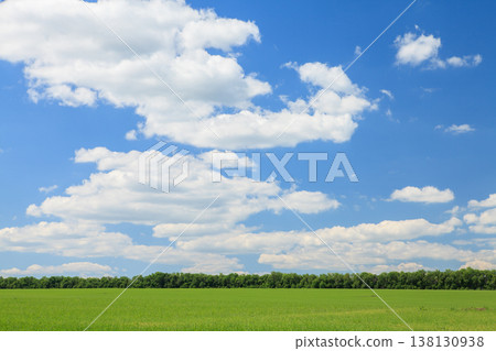 Sunny summer landscape with green field Sunny summer landscape with green field 138130938
