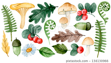 set of autumn watercolor elements. mushrooms berries, and leaves. set of autumn watercolor elements. mushrooms berries, and leaves. 138130966