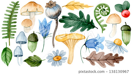 set of autumn watercolor elements. mushrooms, flowers and leaves. set of autumn watercolor elements. mushrooms, flowers and leaves. 138130967