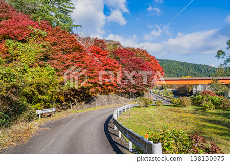 豐田市(愛知縣)大井平公園的景色 豐田市(愛知縣)大井平公園的景色 138130975
