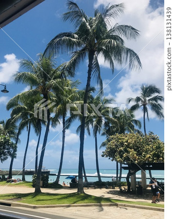 Beach with palm trees 138131439