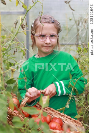 A girl in glasses holds a wicker basket with tomatoes. The girl is dressed in a green sweater A girl in glasses holds a wicker basket with tomatoes. The girl is dressed in a green sweater 138131648