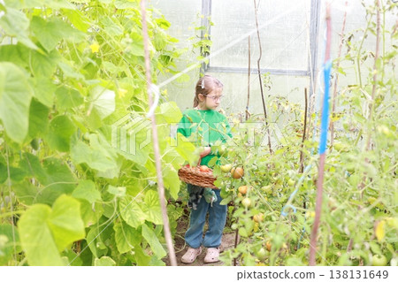 A girl in glasses holds a wicker basket with tomatoes. The girl is dressed in a green sweater A girl in glasses holds a wicker basket with tomatoes. The girl is dressed in a green sweater 138131649