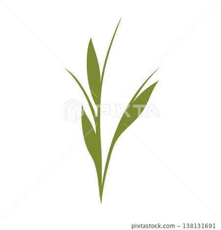 Minimalist green plant stem with several leaves depicted growing upwards. The simple graphic element is isolated against a clean white background, representing nature growth. Minimalist green plant stem with several leaves depicted growing upwards. The simple graphic element is isolated against a clean white background, representing nature growth. 138131691