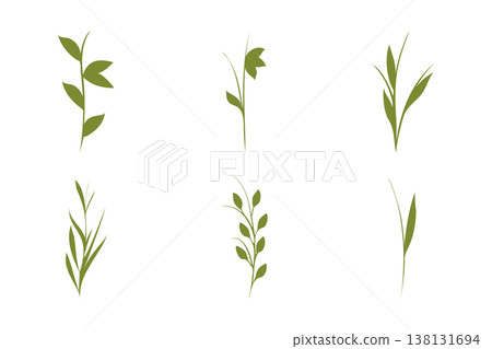 Six diverse green plant stem illustrations featuring various leaf and blade designs are neatly arranged on a clean white background. Six diverse green plant stem illustrations featuring various leaf and blade designs are neatly arranged on a clean white background. 138131694
