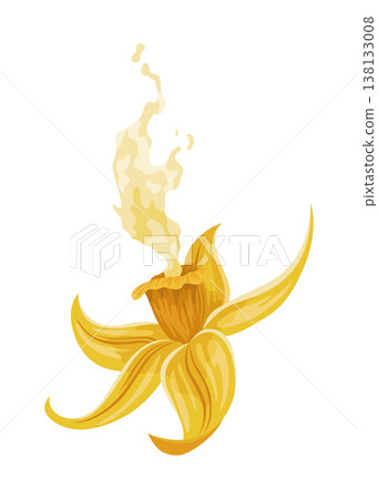 Vanilla flower. Realistic vector isolated design element. Nature spice. Yellow blossom with drops Vanilla flower. Realistic vector isolated design element. Nature spice. Yellow blossom with drops 138133008