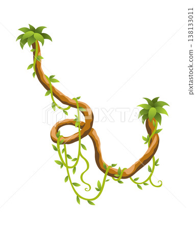 Liana branch. Twisted wild jungle vine plants. Woody natural tropical rainforest, exotic botany element. Vector design element Liana branch. Twisted wild jungle vine plants. Woody natural tropical rainforest, exotic botany element. Vector design element 138133011