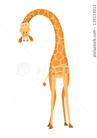 Funny giraffe. Giraffe in a cartoon style, is isolated on white background. Trendy design little kids giraffe 138133012