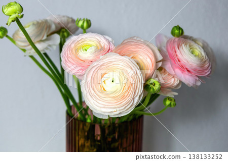 Soft pastel ranunculus flowers background with copy space. Soft pastel ranunculus flowers background with copy space. 138133252