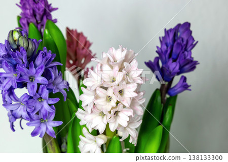 Easter floral background with hyacinth flowers and copy space. Easter floral background with hyacinth flowers and copy space. 138133300