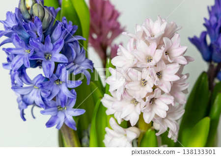 Easter floral background with hyacinth flowers and copy space. Easter floral background with hyacinth flowers and copy space. 138133301