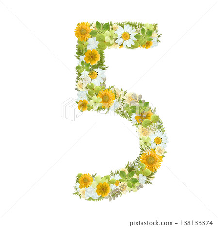 以植物為靈感，用壓花工藝製作的數字5圖案，採用黃色和白色花朵。透明PNG背景。 138133374