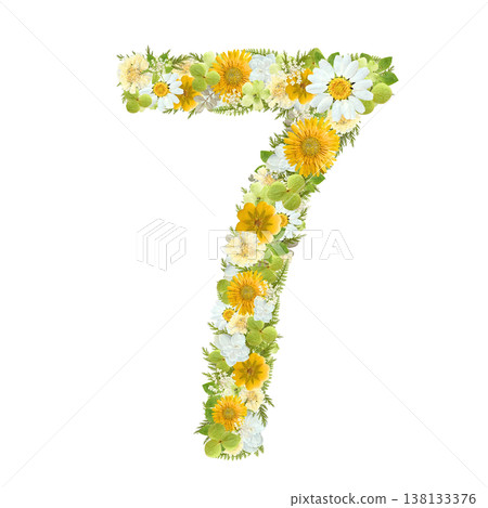 以植物為靈感,用壓花工藝製作的數字7圖案,採用黃色和白色花朵。透明PNG背景。 以植物為靈感,用壓花工藝製作的數字7圖案,採用黃色和白色花朵。透明PNG背景。 138133376