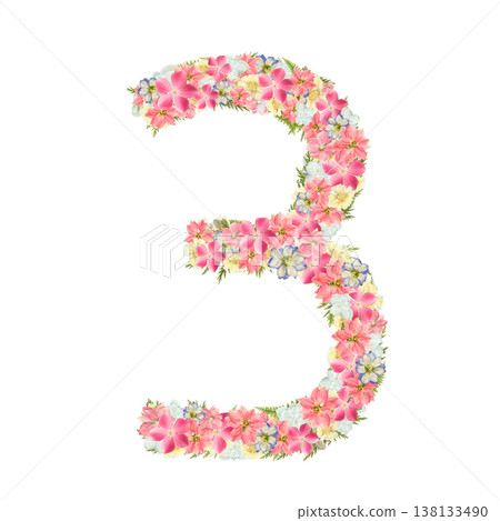 Pressed flower design of the number 3, featuring a botanical arrangement of pink and blue flowers. Transparent PNG background. Pressed flower design of the number 3, featuring a botanical arrangement of pink and blue flowers. Transparent PNG background. 138133490