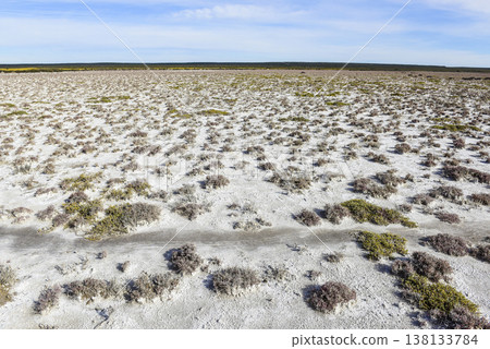 Salty soil in a dry lagoon, in the south of the province of La Pampa, Patagonia, Argentina. Salty soil in a dry lagoon, in the south of the province of La Pampa, Patagonia, Argentina. 138133784