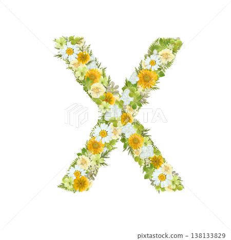 以壓花工藝製作的字母 X 設計，採用黃綠相間的植物圖案。透明 PNG 背景。 138133829