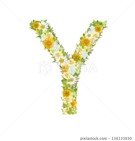 字母 Y 的壓花設計,採用植物風格的黃色和綠色花朵。透明 PNG 背景。 字母 Y 的壓花設計,採用植物風格的黃色和綠色花朵。透明 PNG 背景。 138133830