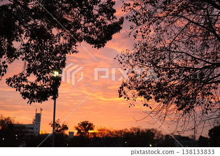 Sunrise scenery at Tatsumi Park Sunrise scenery at Tatsumi Park 138133833