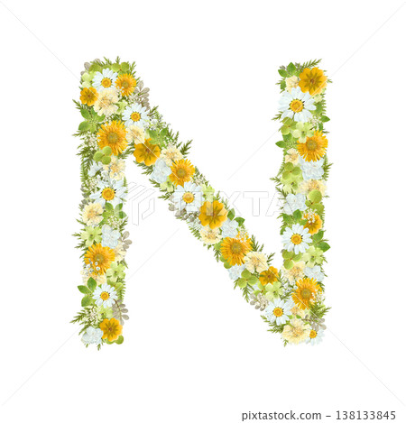 Pressed flower design of the letter N, featuring yellow and green flowers in a botanical style. Transparent PNG background. Pressed flower design of the letter N, featuring yellow and green flowers in a botanical style. Transparent PNG background. 138133845