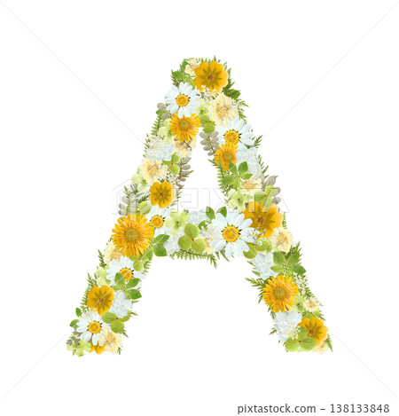 Pressed flower design of the letter A, featuring a botanical arrangement of yellow and green flowers. Transparent PNG background. 138133848