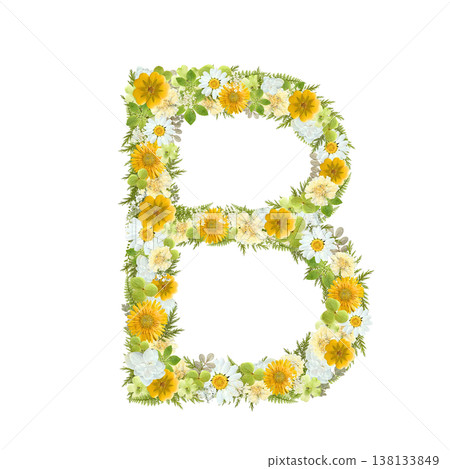 字母 B 的壓花設計，採用植物風格的黃色和綠色花朵。透明 PNG 背景。 138133849