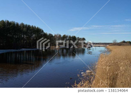 Calm River Landscape With Trees. Tranquil Marshlands Under Gentle Blue Sky With Surrounding Trees Calm River Landscape With Trees. Tranquil Marshlands Under Gentle Blue Sky With Surrounding Trees 138134064
