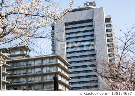 城市景觀中，櫻花盛開，樓宇林立。 138134687