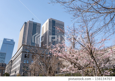 城市景觀中,櫻花盛開,樓宇林立。 城市景觀中,櫻花盛開,樓宇林立。 138134707