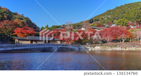 秋日式庭園：色彩繽紛的秋葉和橫跨池塘的小橋。 138134760