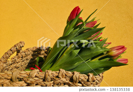 Red tulips in a basket close-up. A gift for a girl for the holidays. High quality photo 138135338