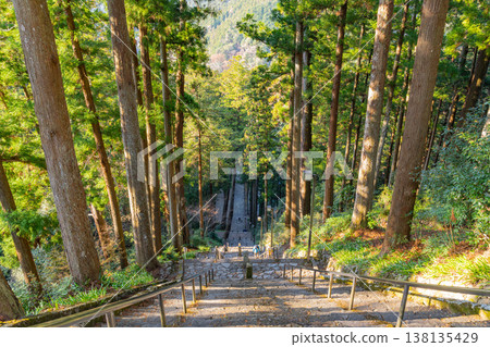 (山梨縣)身延山久遠寺,望向菩提階梯 (山梨縣)身延山久遠寺,望向菩提階梯 138135429