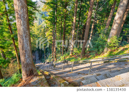 (山梨縣)身延山久遠寺,望向菩提階梯 (山梨縣)身延山久遠寺,望向菩提階梯 138135430