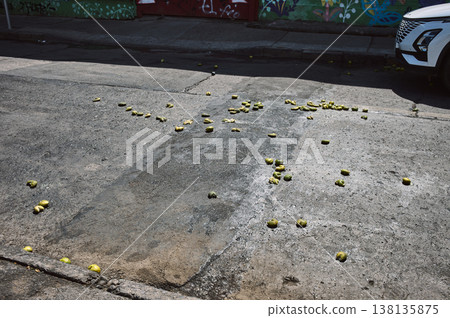 Foreign countries 138135875