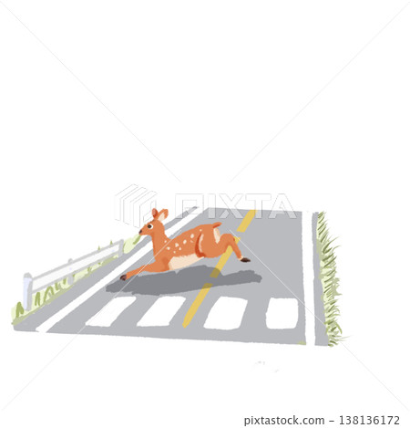 一隻鹿正在穿越人行道;象徵野生動物穿越人行道和交通安全。 一隻鹿正在穿越人行道;象徵野生動物穿越人行道和交通安全。 138136172