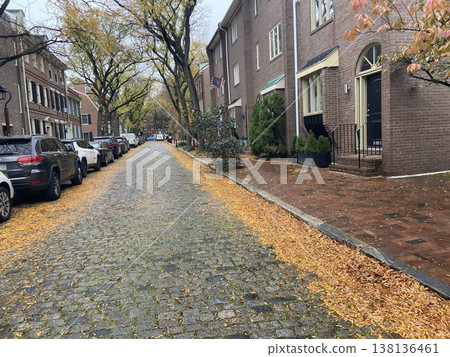 波士頓紅磚住宅區和綠樹成蔭的街道的秋景(落葉點綴的城市景觀) 波士頓紅磚住宅區和綠樹成蔭的街道的秋景(落葉點綴的城市景觀) 138136461