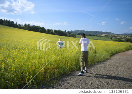 Rapeseed field Rapeseed field 138136581
