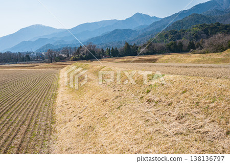 滋賀縣大津市北小松市滋賀縣琵琶湖西部地區的梯田 滋賀縣大津市北小松市滋賀縣琵琶湖西部地區的梯田 138136797
