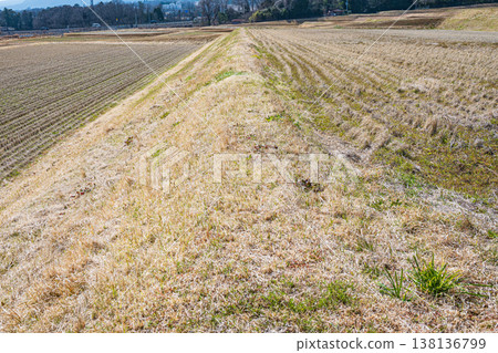 Terraced rice fields in the western Lake Biwa region of Shiga Prefecture, Kitakomatsu, Otsu City, Shiga Prefecture Terraced rice fields in the western Lake Biwa region of Shiga Prefecture, Kitakomatsu, Otsu City, Shiga Prefecture 138136799