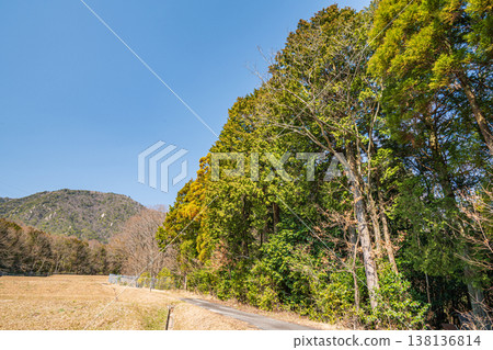 Terraced rice fields in the western Lake Biwa region of Shiga Prefecture, Kitakomatsu, Otsu City, Shiga Prefecture 138136814