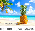 A freshly picked pineapple on the beach 138136850