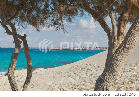 Sand dunes framed by trees and a Mediterranean coastline (around Marsa Matruh, Egypt) Sand dunes framed by trees and a Mediterranean coastline (around Marsa Matruh, Egypt) 138137246
