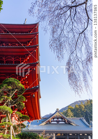 (Yamanashi Prefecture) Minobu-san Kuonji Temple - Five-story pagoda and main hall (Yamanashi Prefecture) Minobu-san Kuonji Temple - Five-story pagoda and main hall 138137865