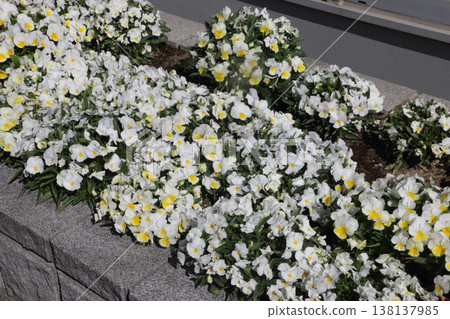 JA flowerbeds JA flowerbeds 138137985