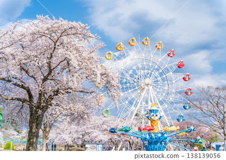 青森縣八戶市八戶公園和兒童樂園的春日景色 138139056