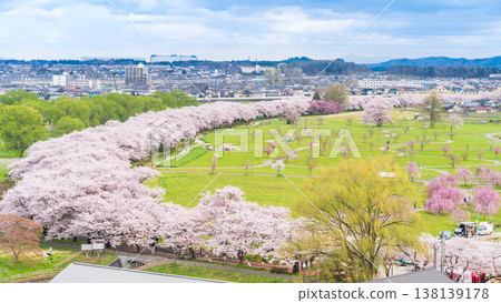 岩手縣：北上市北上天照地公園櫻花盛開 138139178