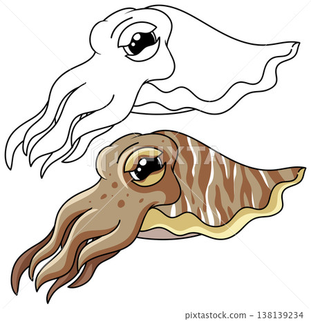 Cute Cartoon Cuttlefish Vector Illustration in Color and Line Art Cute Cartoon Cuttlefish Vector Illustration in Color and Line Art 138139234