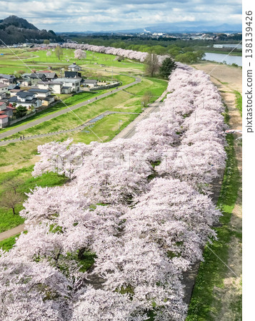 Aerial view of Kitakami Tenshochi Park in Iwate Prefecture, where cherry blossoms are in full bloom. Aerial view of Kitakami Tenshochi Park in Iwate Prefecture, where cherry blossoms are in full bloom. 138139426