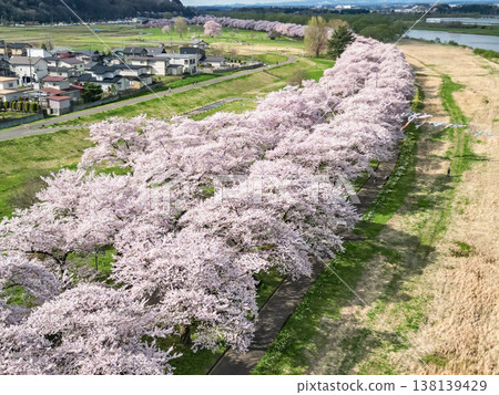 Aerial view of Kitakami Tenshochi Park in Iwate Prefecture, where cherry blossoms are in full bloom. Aerial view of Kitakami Tenshochi Park in Iwate Prefecture, where cherry blossoms are in full bloom. 138139429